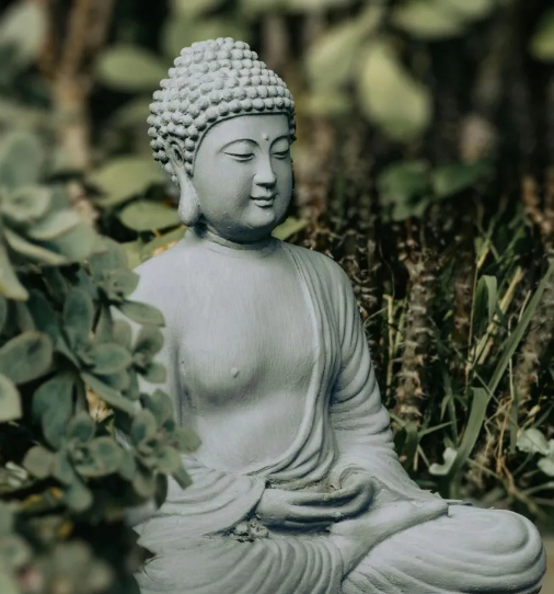 Wellness Consultation